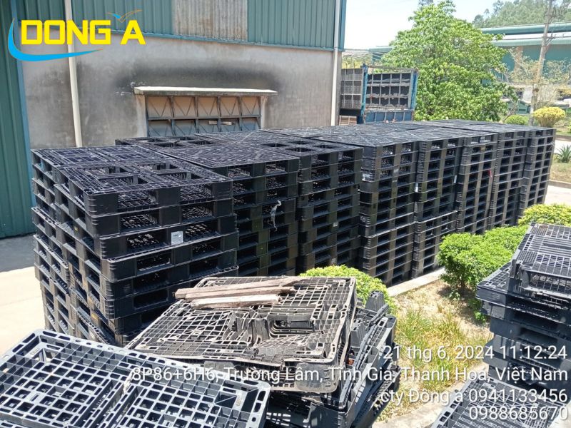 Giao 500 pallet nhựa cũ cho Môi trường Nghi Sơn