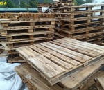 Pallet Gỗ Cũ 1100x1300x120mm