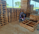 Pallet gỗ 2 hướng nâng