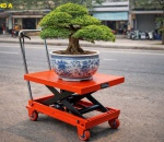 Địa Chỉ Bán Xe Nâng Chậu Cảnh Tại Nghệ An, Hà Tĩnh, Quảng Bình, Thanh Hóa Giá Tốt