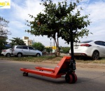 Xe nâng tay thủy lực 3 tấn