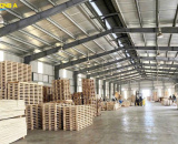 Pallet Ván Ép Cho Công Ty Điện Tử – Giải Pháp Tối Ưu Cho Nhà Máy FDI Tại Nghệ An