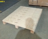 Địa chỉ bán pallet ván ép tại Nghệ An, Hà Tĩnh, Thanh Hóa, Quảng Bình uy tín