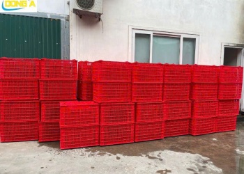 Sọt Shipper Giá Rẻ – Bền – Đẹp | Sọt Giao Hàng Cho Shipper Công Nghệ, Quán Ăn, Quán Café