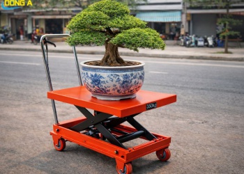 Địa Chỉ Bán Xe Nâng Chậu Cảnh Tại Nghệ An, Hà Tĩnh, Quảng Bình, Thanh Hóa Giá Tốt