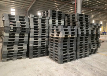 So Sánh Pallet Nhựa Và Pallet Gỗ – Doanh Nghiệp Nên Chọn Loại Nào?