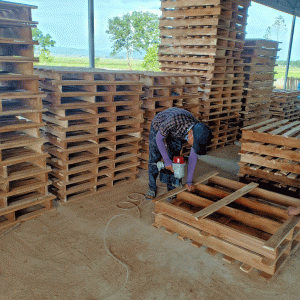 Pallet gỗ 2 hướng nâng