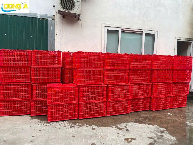 Sot nhua